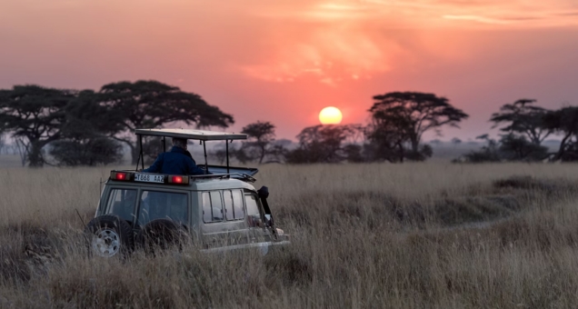 Africa Safari